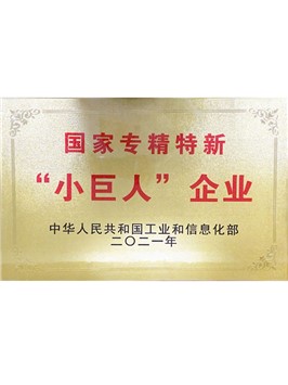 國家專精特新“小巨人”企業